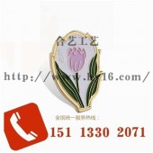 優(yōu)質(zhì)徽章、高檔襟章、新款上市、精品生產(chǎn)